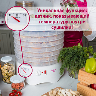 Сушилка для овощей и фруктов Мастерица EFD-0903VM с прозрачными поддонами